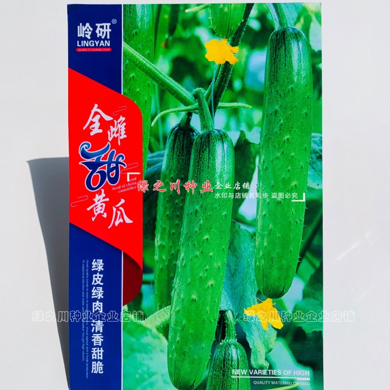 新品种全雌甜黄瓜种子甜脆清香水果黄瓜种籽绿皮绿肉黄瓜种子