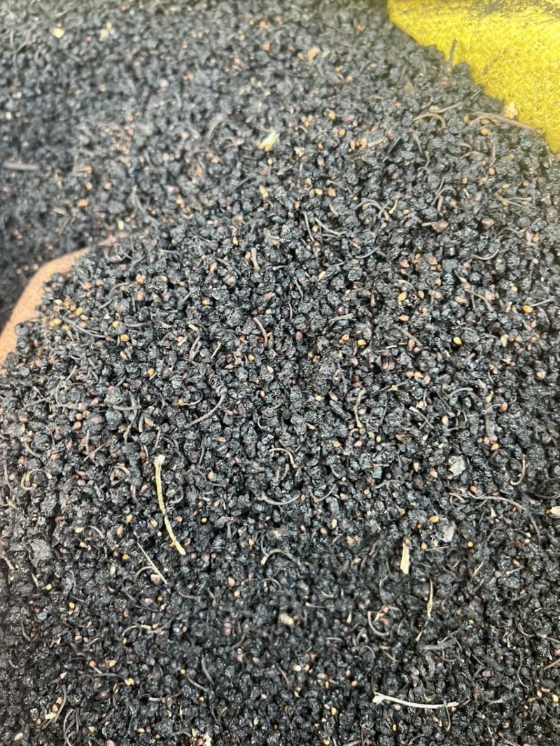 桑葚干桑葚种子桑葚干米子洗桑葚米子大量供应欢迎咨询