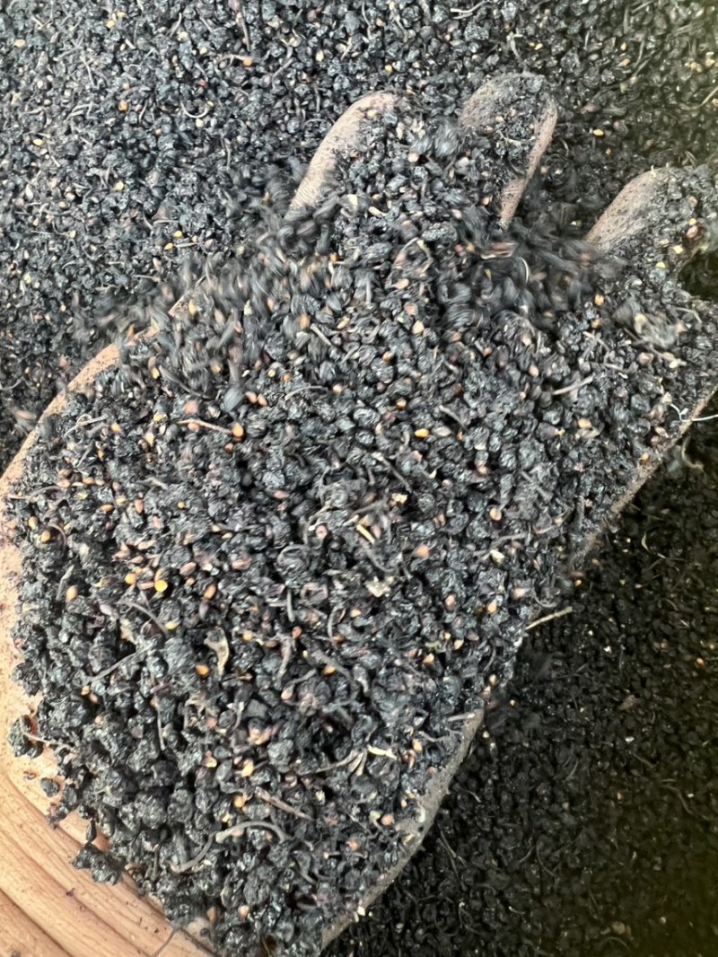 桑葚干桑葚种子桑葚干米子洗桑葚米子大量供应欢迎咨询