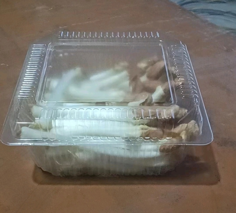 水培精品花生芽芽苗菜货源充足价格实惠需要的联系