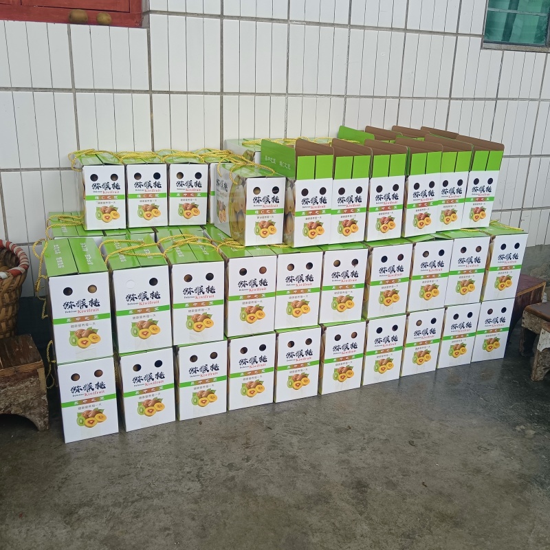 云南低纬度高海拔早熟红心猕猴桃