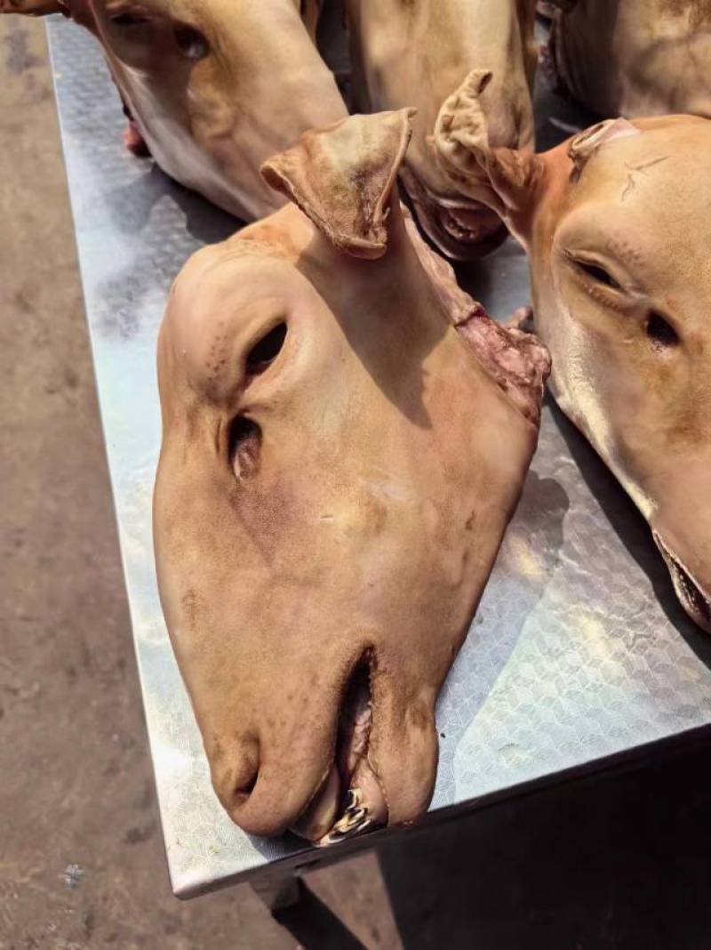 羊头