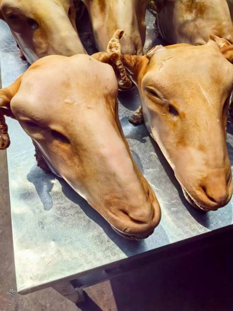 羊头