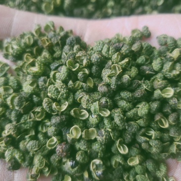 青麻椒