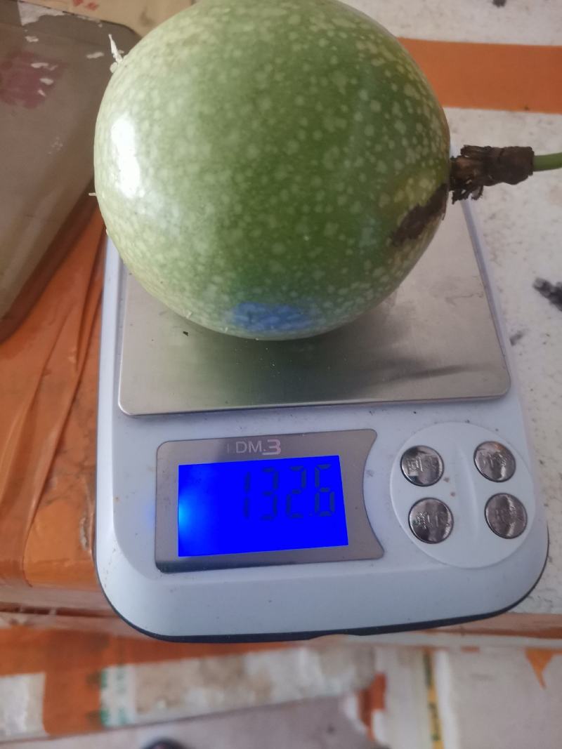《钦蜜9号》黄金百香果/两广百香果/海南产地货源整车批发