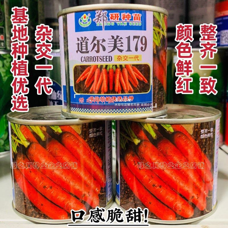 道尔美179三红胡萝卜种籽脆甜杂交一代鲜红胡萝卜种子秋季