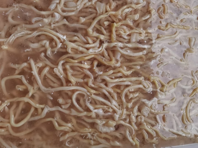 水发火锅鸭肠自助餐火锅食材大鸭肠