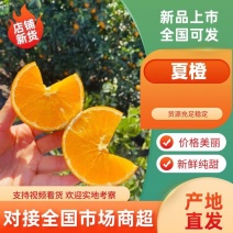 橙子秭归夏橙水分超足，对接市场批发，电商平台，社区团购