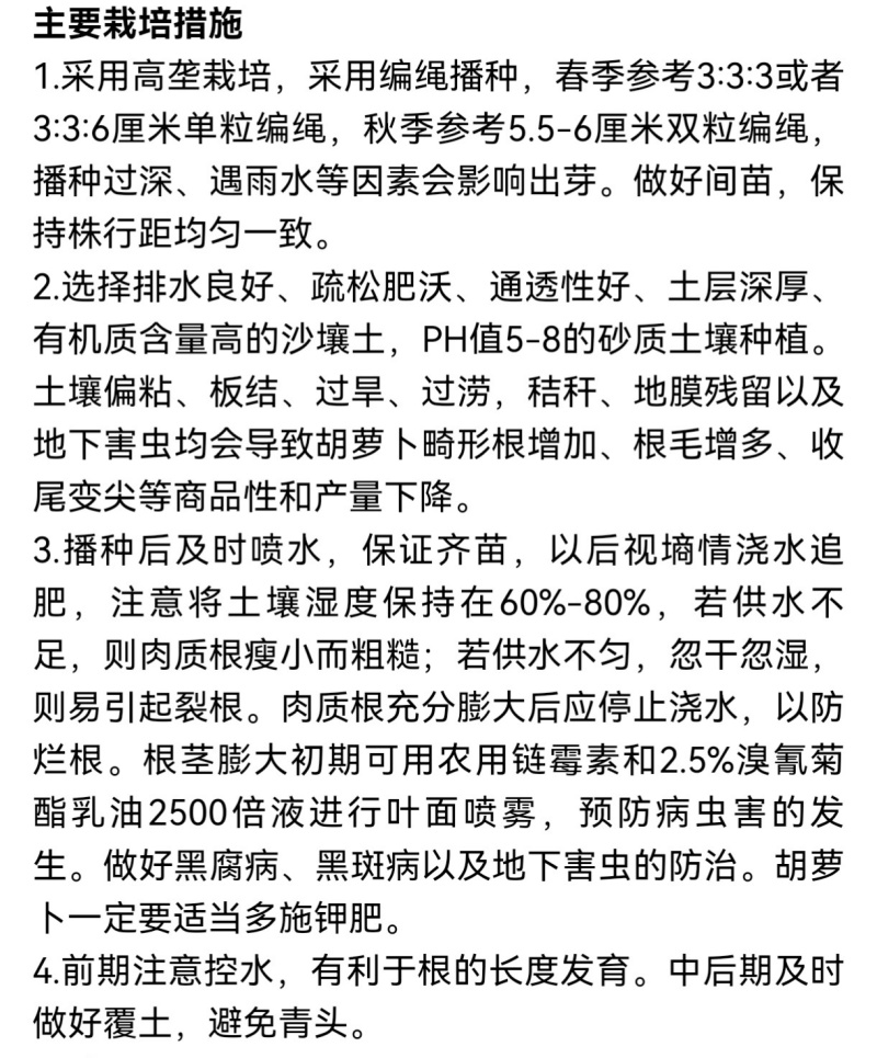 欧兰德红马203胡萝卜种子三系杂交可编绳胡红萝卜种子籽春