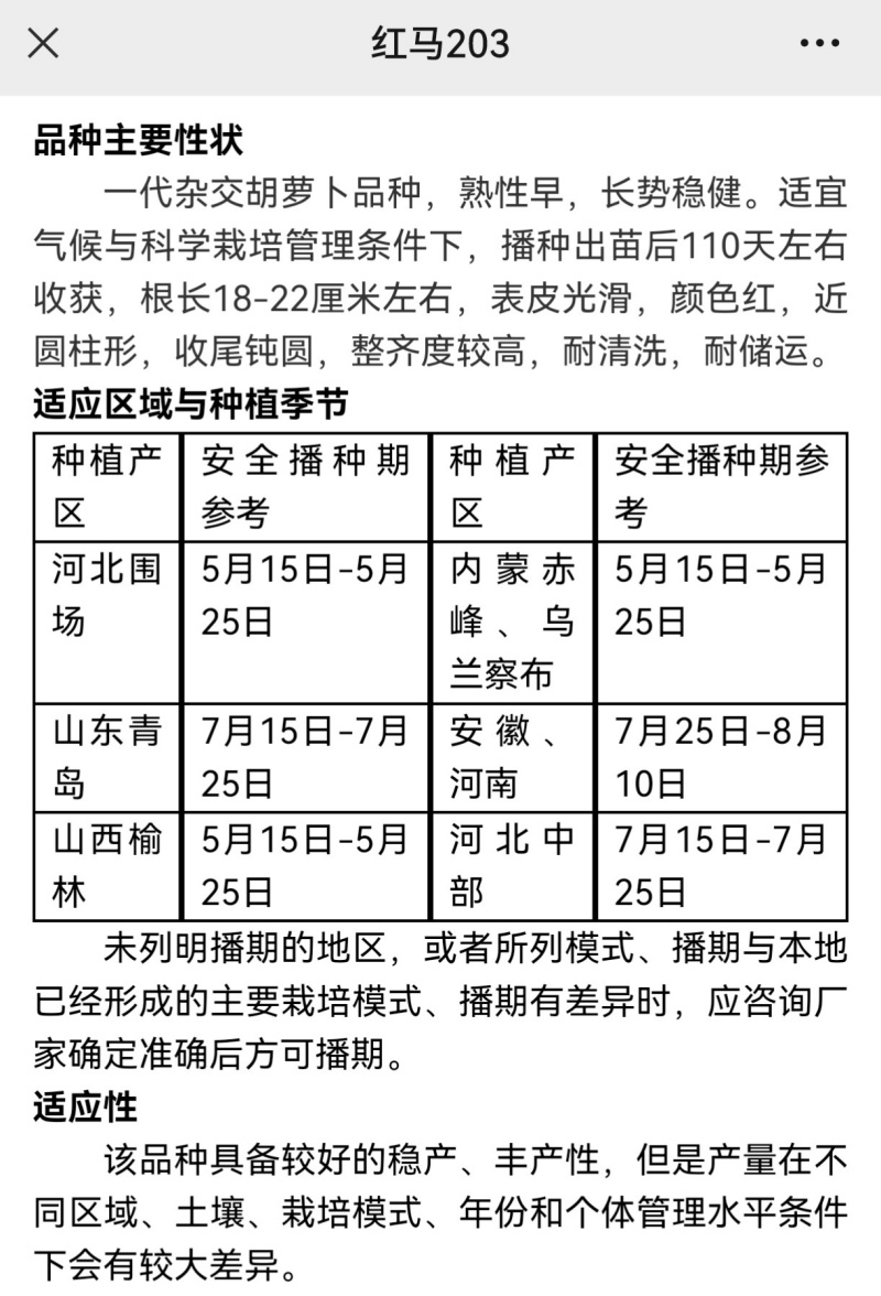 欧兰德红马203胡萝卜种子三系杂交可编绳胡红萝卜种子籽春