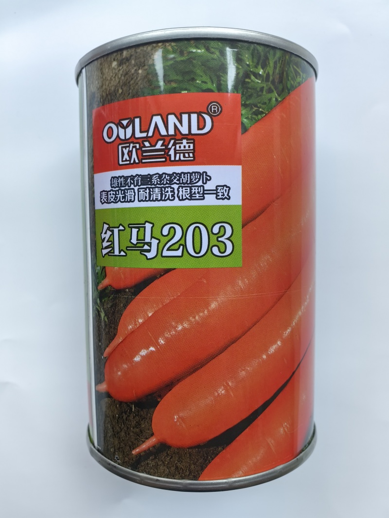 欧兰德红马203胡萝卜种子三系杂交可编绳胡红萝卜种子籽春