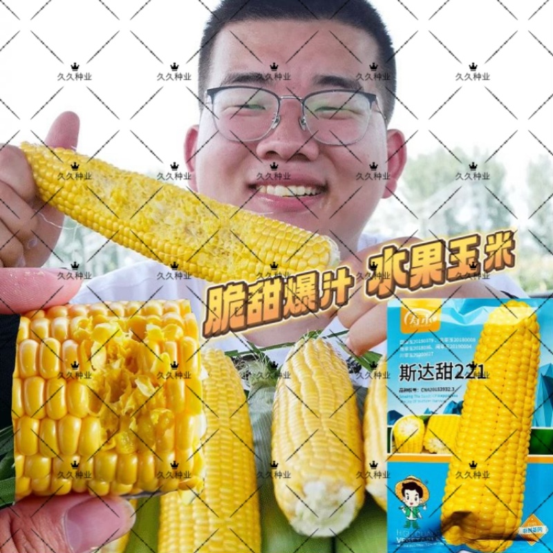 斯达甜221玉米种子早熟超甜水果玉米种籽特大高产甜糯