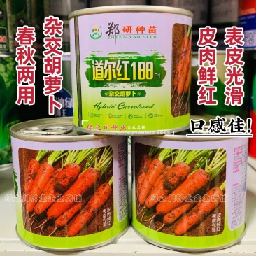 道尔红188杂交胡萝卜种子春秋两用三红胡萝卜种籽皮肉鲜红