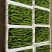精品螺丝椒专业代卖代发各种蔬菜对接种植户合作社电联