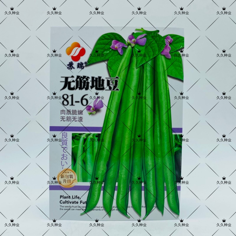 无筋地豆种子早熟矮生架豆种籽无筋架豆豆角菜豆种子