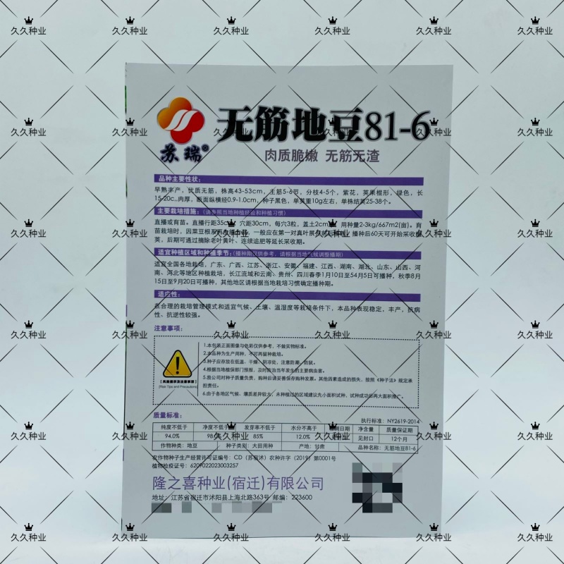无筋地豆种子早熟矮生架豆种籽无筋架豆豆角菜豆种子