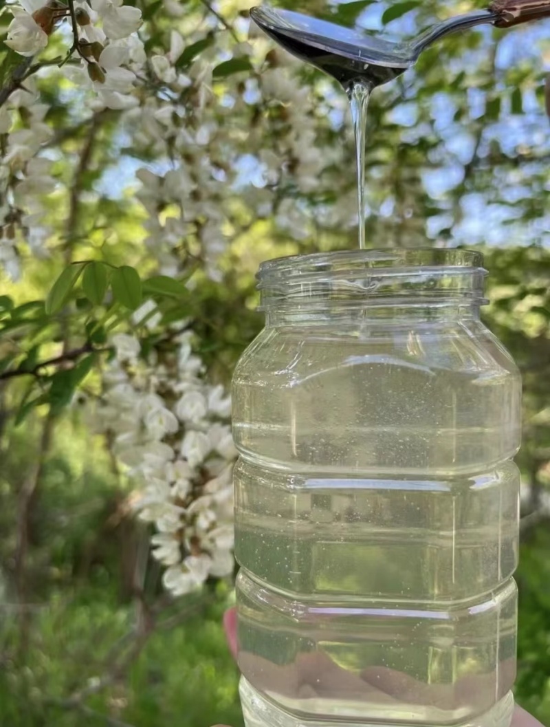 高浓度洋槐蜜延安水白洋槐蜜槐花蜜蜂场直供质量保证