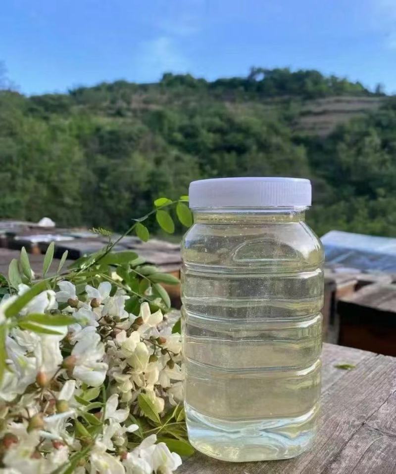 高浓度洋槐蜜延安水白洋槐蜜槐花蜜蜂场直供质量保证