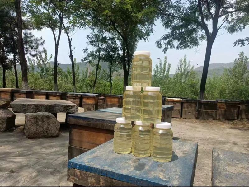 高浓度洋槐蜜延安水白洋槐蜜槐花蜜蜂场直供质量保证