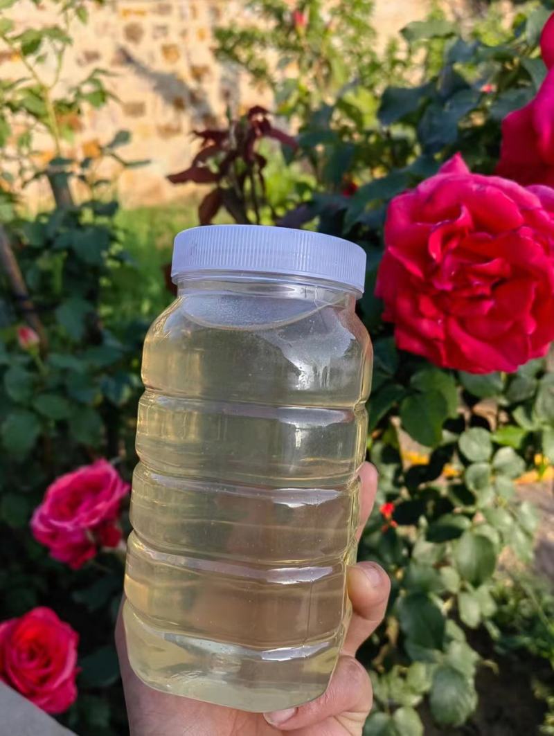 高浓度洋槐蜜延安水白洋槐蜜槐花蜜蜂场直供质量保证