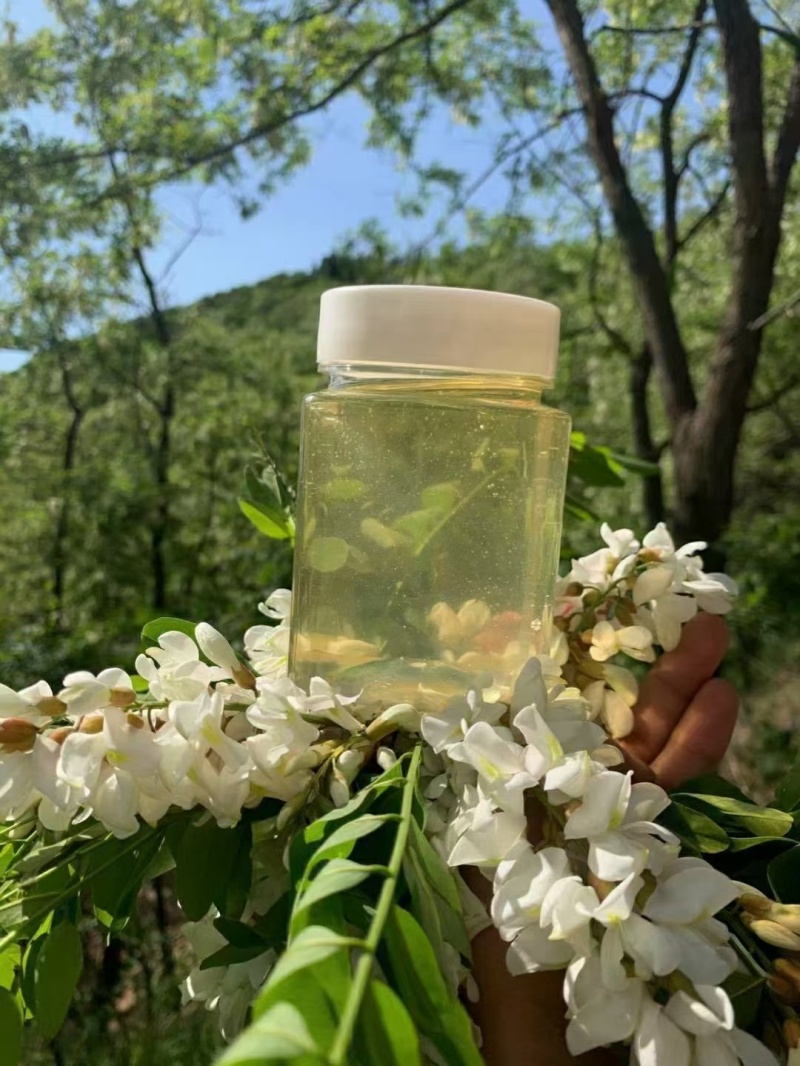 高浓度洋槐蜜延安水白洋槐蜜槐花蜜蜂场直供质量保证