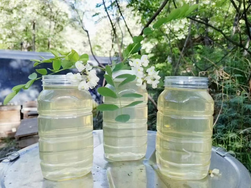 高浓度洋槐蜜延安水白洋槐蜜槐花蜜蜂场直供质量保证