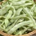 白大侠白不老架豆种子摘不败早熟四季豆蔬菜种子春秋播种