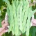 白大侠白不老架豆种子摘不败早熟四季豆蔬菜种子春秋播种