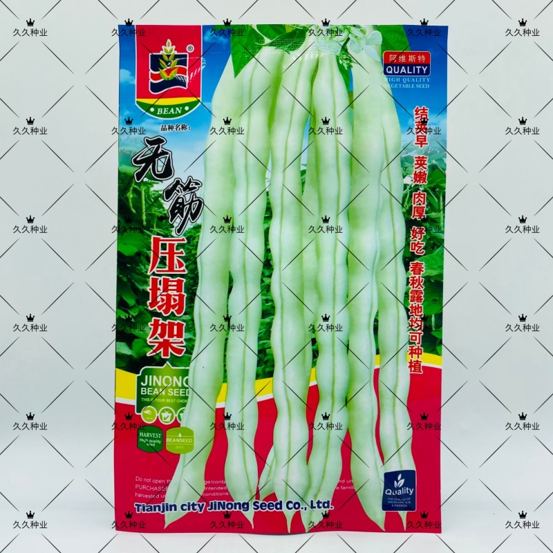 无筋压塌架四季豆种子春秋早熟架豆种子庭院阳台高产无筋荚嫩