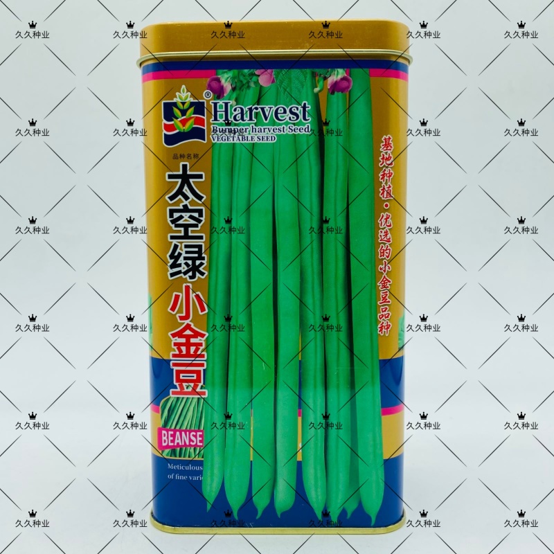 太空绿小金豆种子抗寒耐热芸豆四季豆种子春秋季菜豆种子