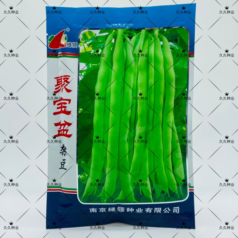 聚宝盆架豆种子四季豆早中熟嫩荚淡绿色优质丰产抗病大田种籽