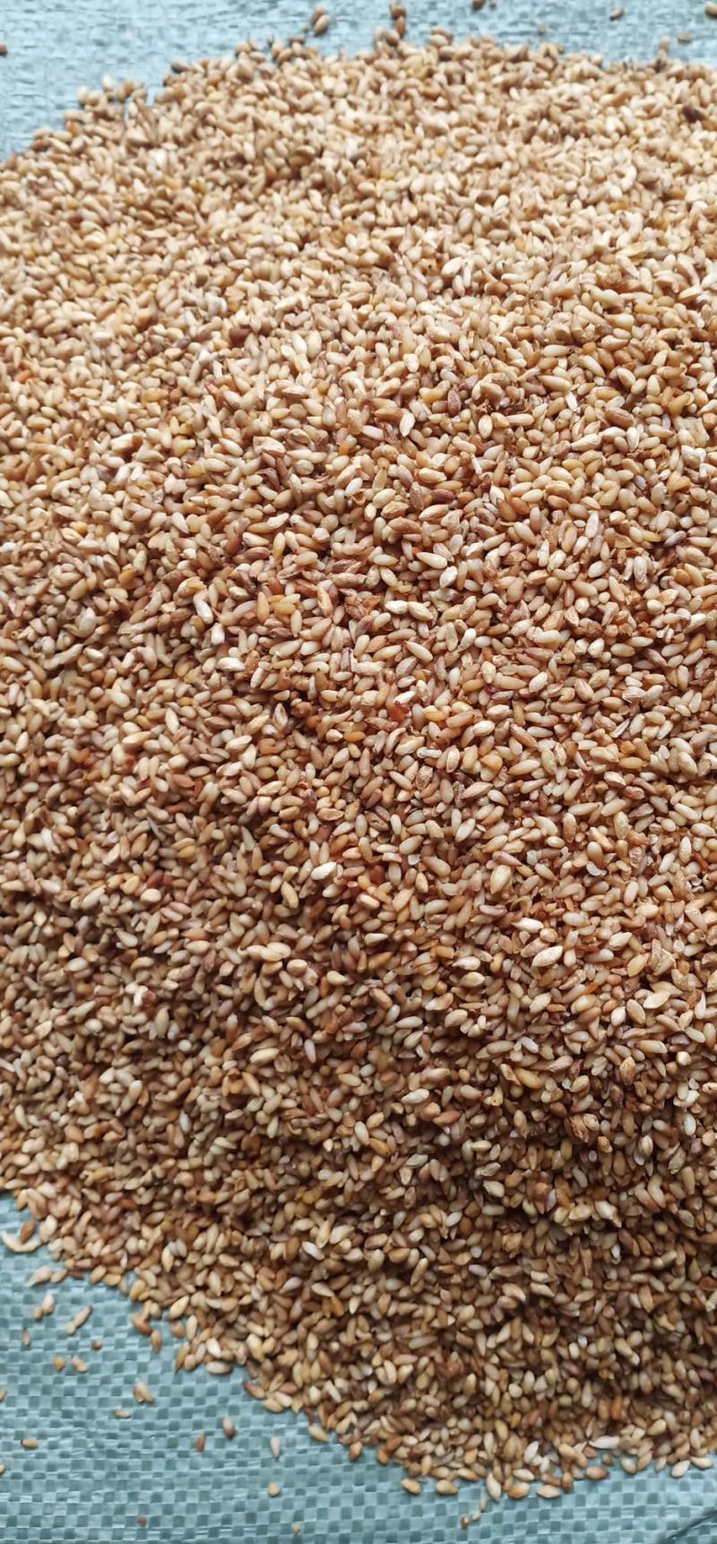 柏籽仁一手货源一件代发批发各种药材量大优惠