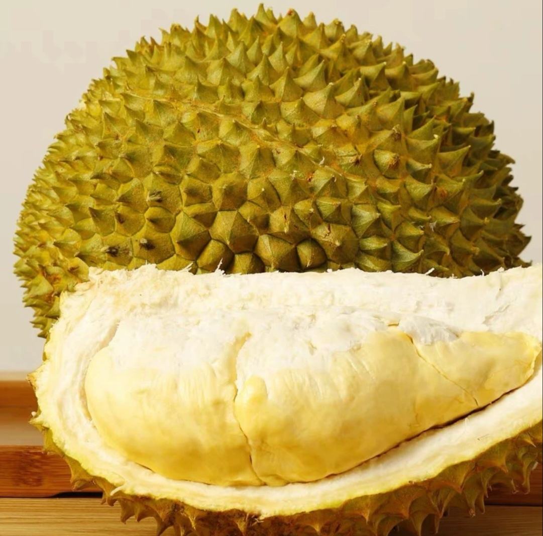 金枕头榴莲适生区域分布图