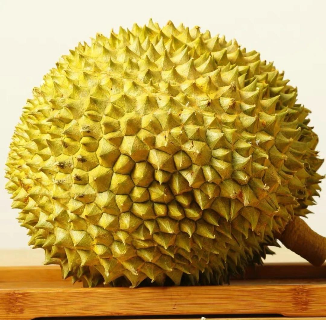 一个切开的金枕榴莲,外壳呈青绿色带黄晕,表面有粗大而疏松的刺;内部露出三瓣完整的金黄色果肉,质地细腻油润,果核较小且呈椭圆形,果肉与果壳之间有清晰分界线,背景为浅木色桌面 金黄色果肉的切开金枕榴莲特写