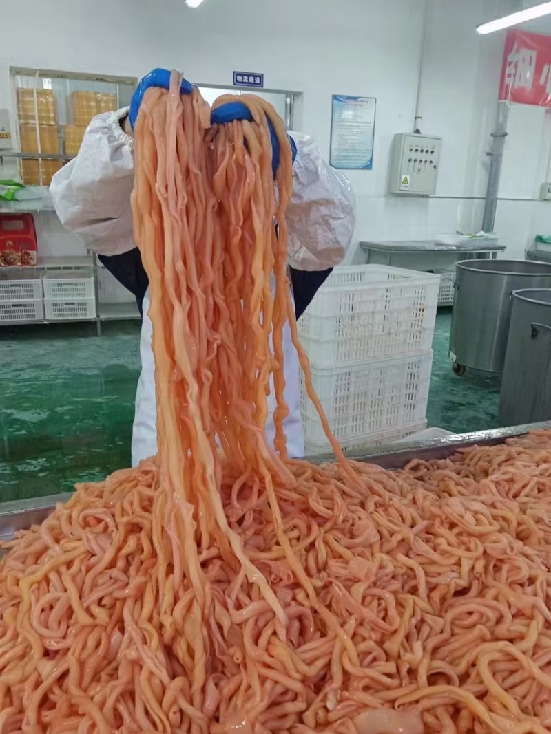 火锅鸭肠水发鸭肠鸭肠脆鸭肠无油免洗脆鸭肠串串食材