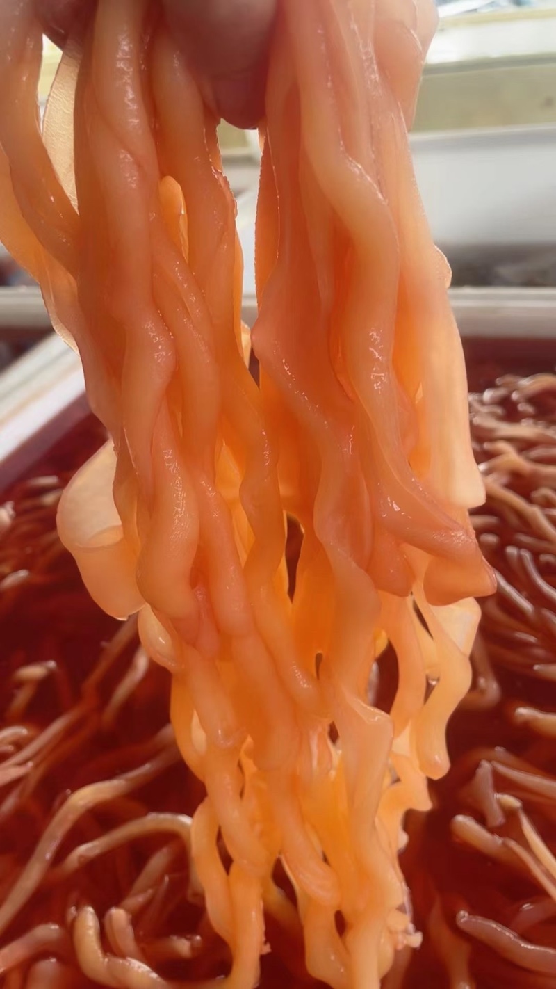 火锅鸭肠水发鸭肠鸭肠脆鸭肠无油免洗脆鸭肠串串食材