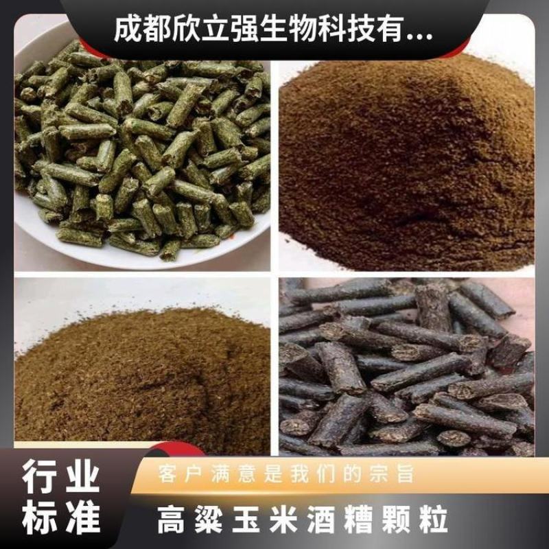 干白酒糟粉发酵酒糟颗粒浓香型酱香型酒糟粉颗粒源头实力厂家