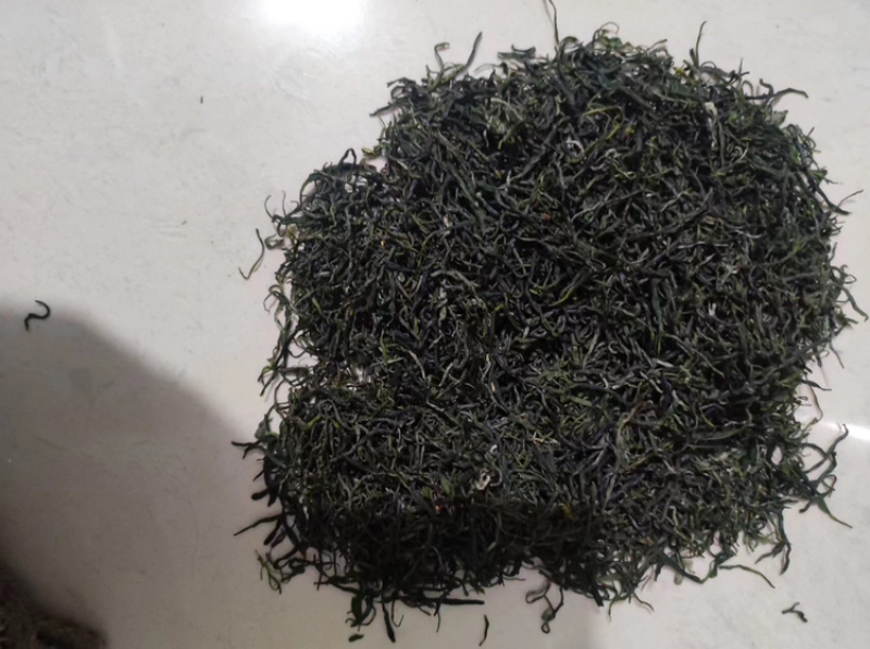 广东精品龟山茶，品质好，价格真实，规格齐全