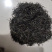 广东精品龟山茶，品质好，价格真实，规格齐全