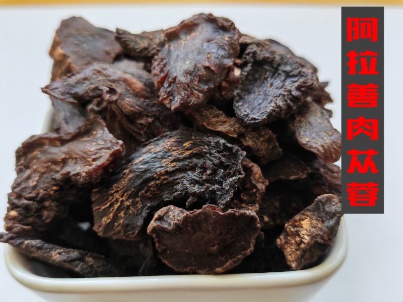 养生滋补料阿拉善肉苁蓉小茶丁，实惠款，买一送一