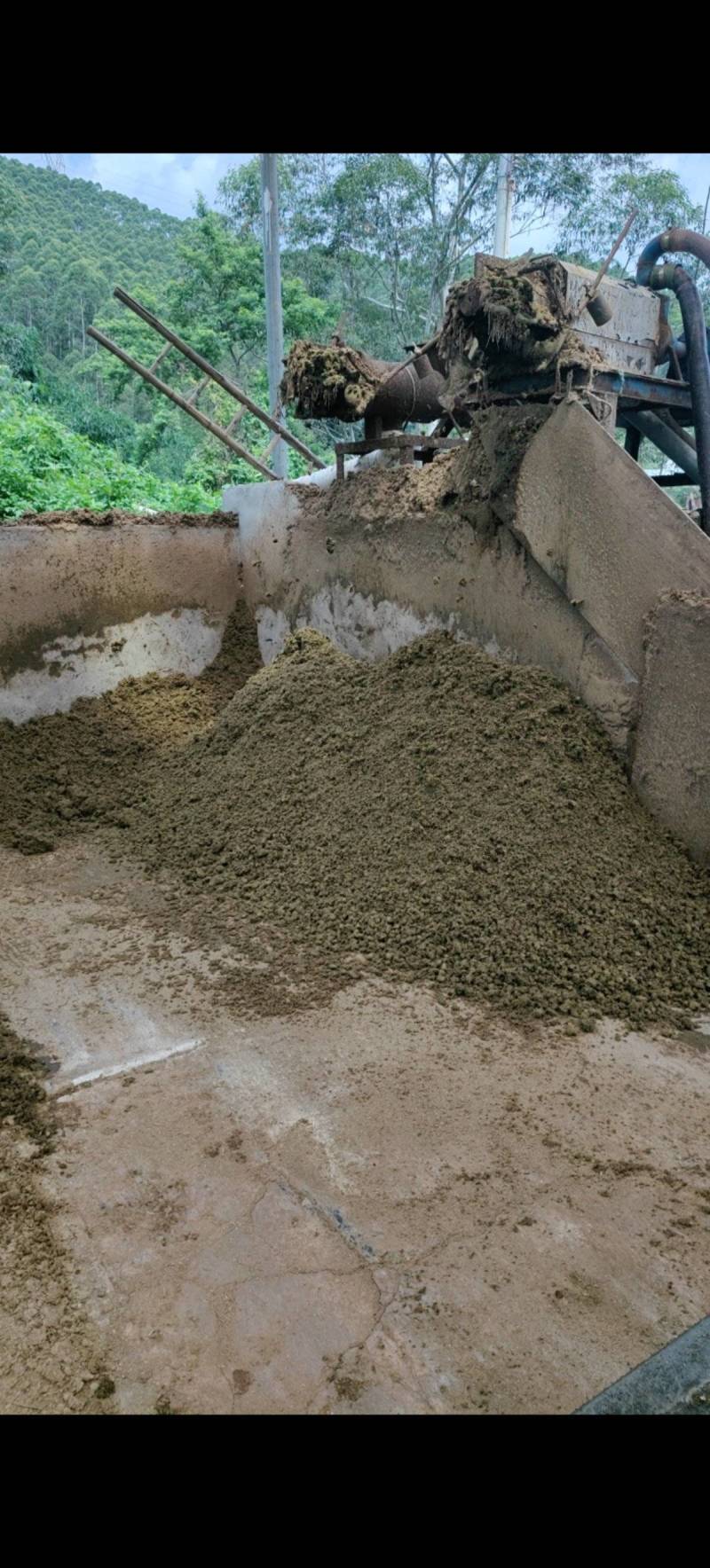 经过干湿分离机，压榨出来的干牛粪