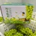 四川精品阳光玫瑰，规格齐全，果园一手货源，可对接电商市场
