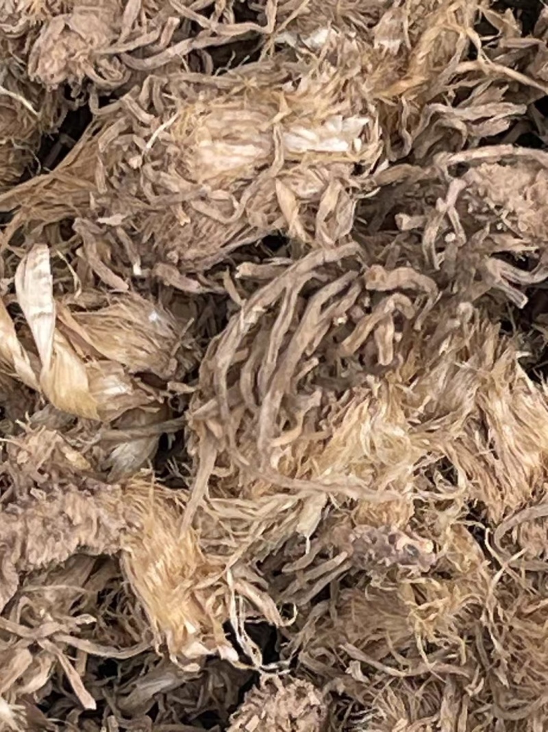 韭菜根，干货，中药材韭菜根水洗干净，购销各种中药材！