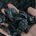 无核西梅，西梅肉大量供应，支持零售批发，量大从优，可定制
