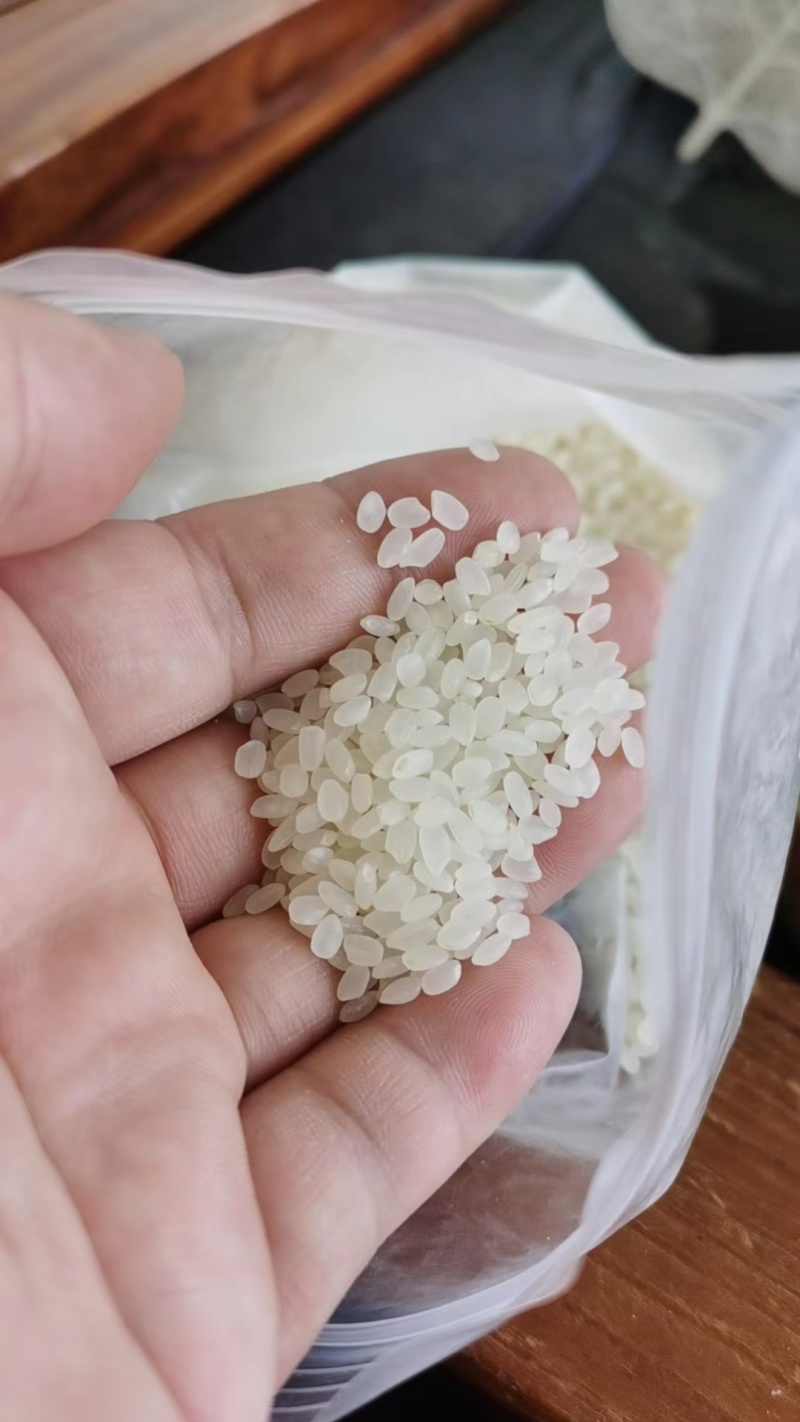 珍珠米陈米（食用大米）