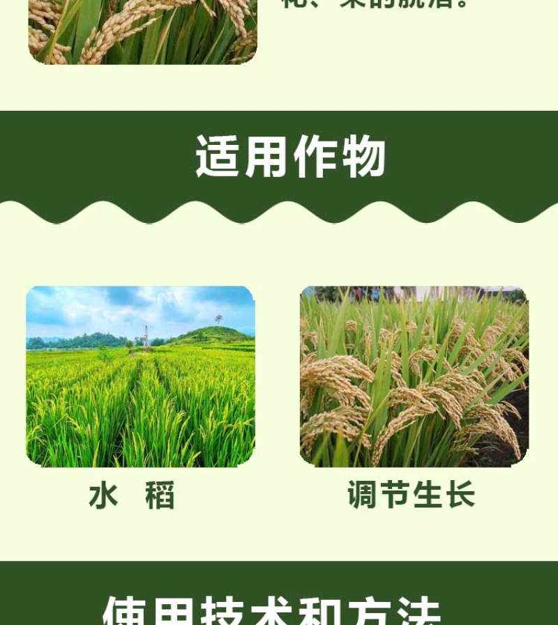 3%赤霉酸植物生长调节剂保花保果增产增收拉长果穗