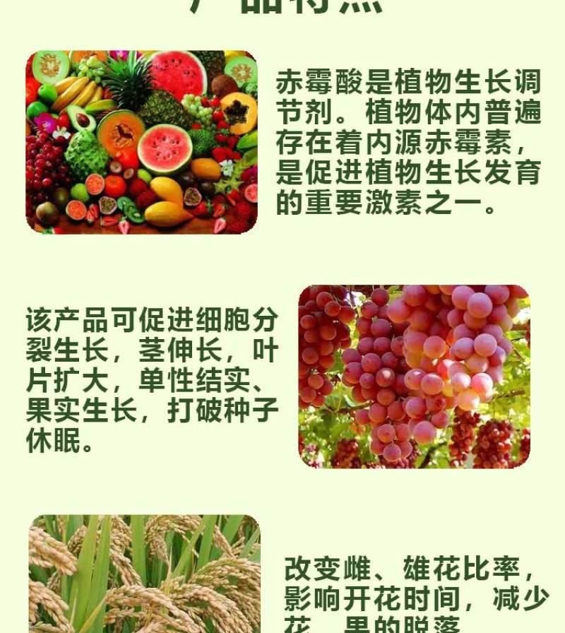 3%赤霉酸植物生长调节剂保花保果增产增收拉长果穗