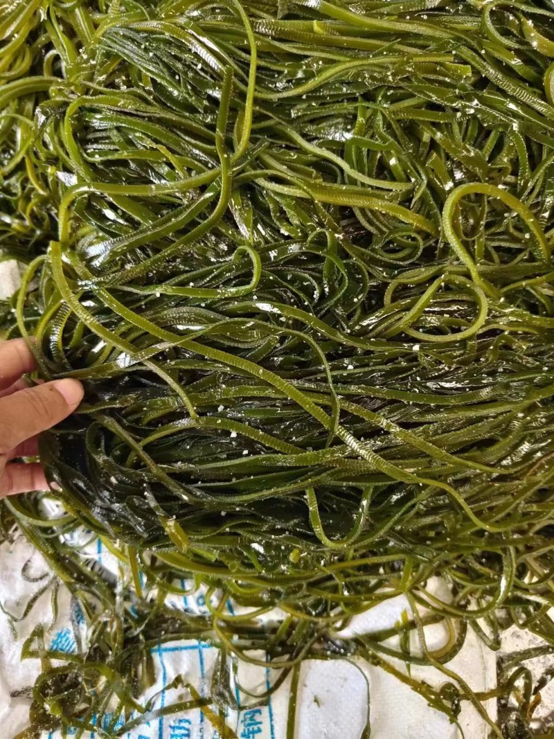 批发来自大连深海原味海带丝