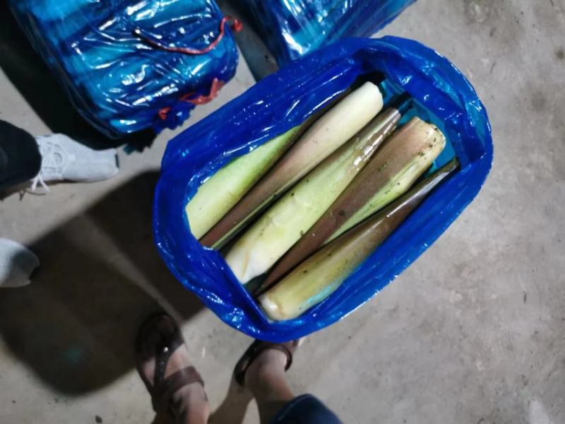 茭白美人茭/大量供应/产地直发/品质保障/批发量大优惠
