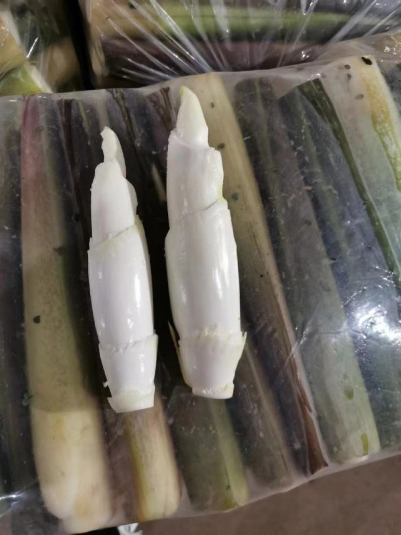 茭白美人茭/大量供应/产地直发/品质保障/批发量大优惠
